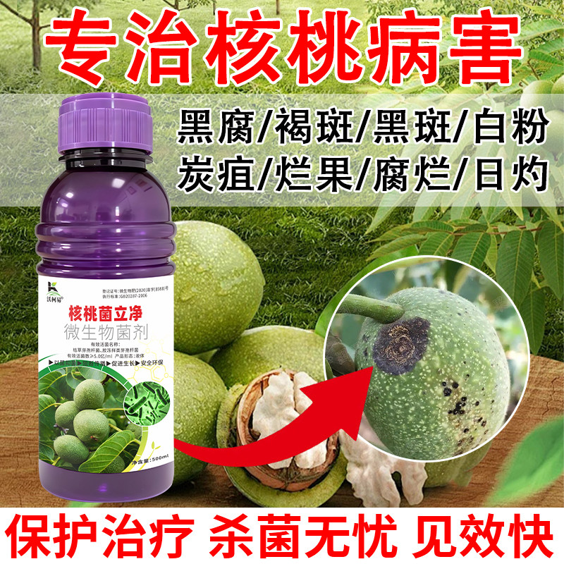 核桃病专用核桃黑斑病落果日灼叶斑炭疽病专用生物杀菌剂正品直销