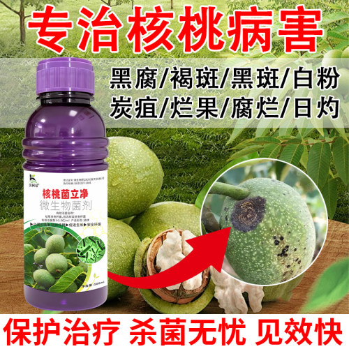 核桃病专用核桃黑斑病落果日灼叶斑炭疽病专用生物杀菌剂正品直销