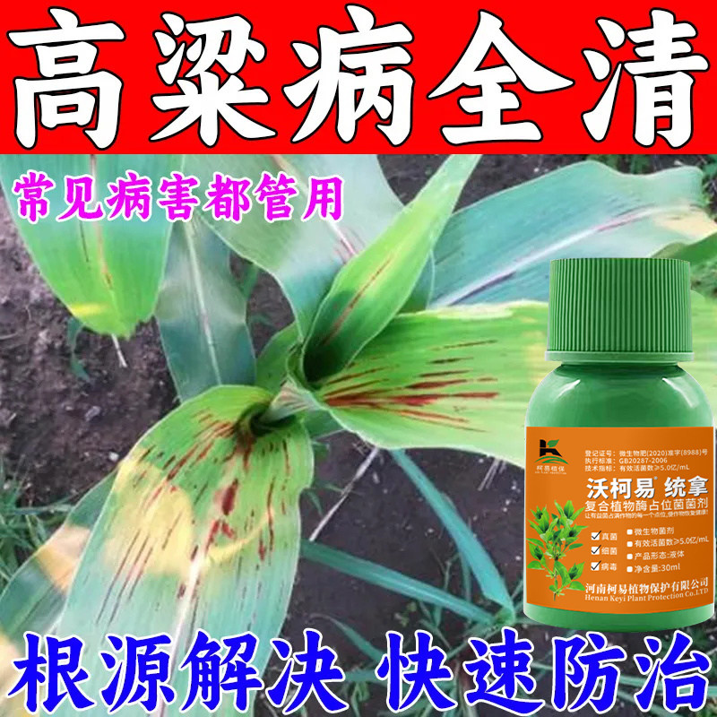 高粱紫斑病专用杀菌剂高粱病全治黑穗病红叶病大斑病斑点病烟煤病