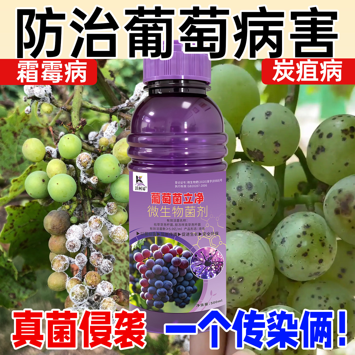 葡萄病专用房枯霜霉白腐黑痘炭疽白粉褐斑溃疡烂果葡萄正品杀菌剂