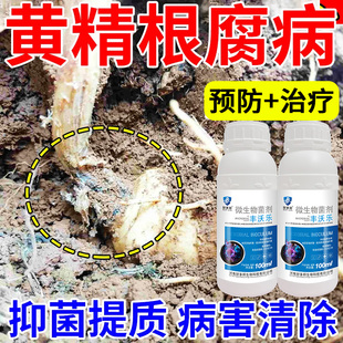 黄精病全治根腐病黄叶病黑斑病叶斑病炭疽病灰霉病通用黄精杀菌剂