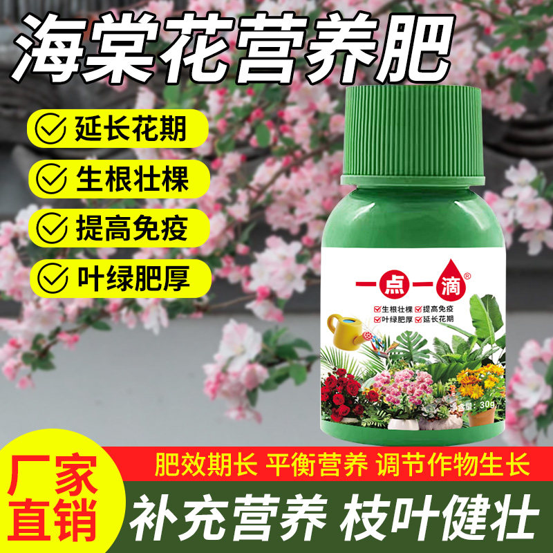 海棠花专用营养液催花剂助生长治不开花掉花苞四季海棠浓缩肥料