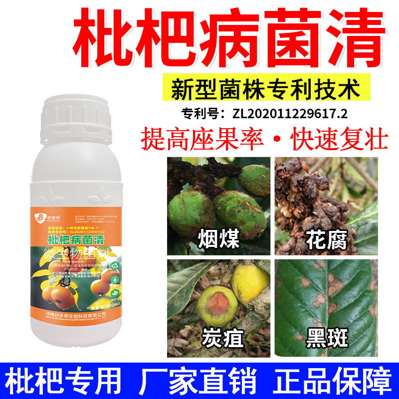 枇杷专用杀菌剂枇杷炭疽病褐腐病褐斑病灰霉烟煤病叶斑病腐烂日灼