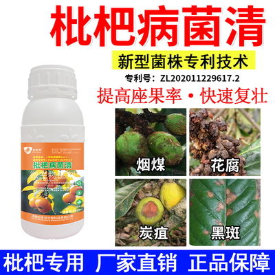 枇杷专用杀菌剂枇杷炭疽病褐腐病褐斑病灰霉烟煤病叶斑病腐烂日灼