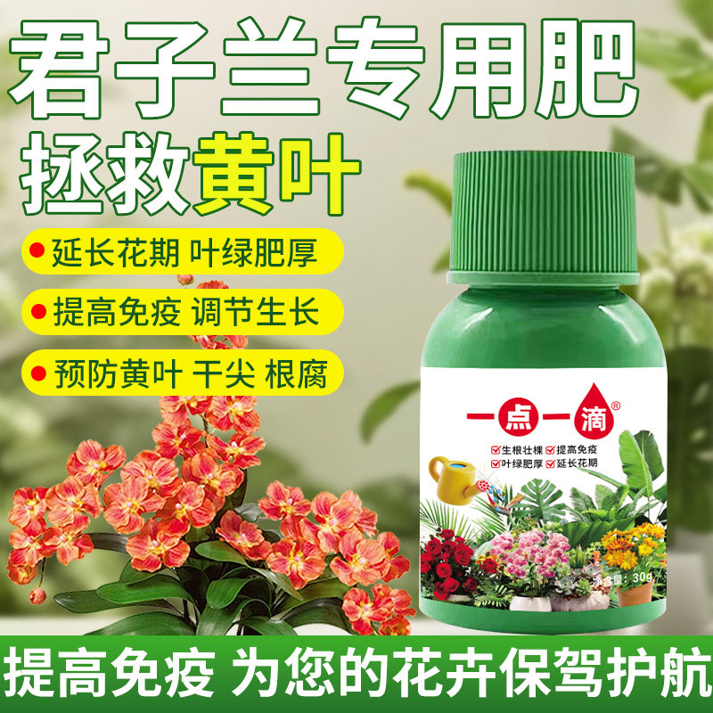 君子兰适用营养液家用通用治黄叶促开花室内绿植花卉盆栽专用肥料