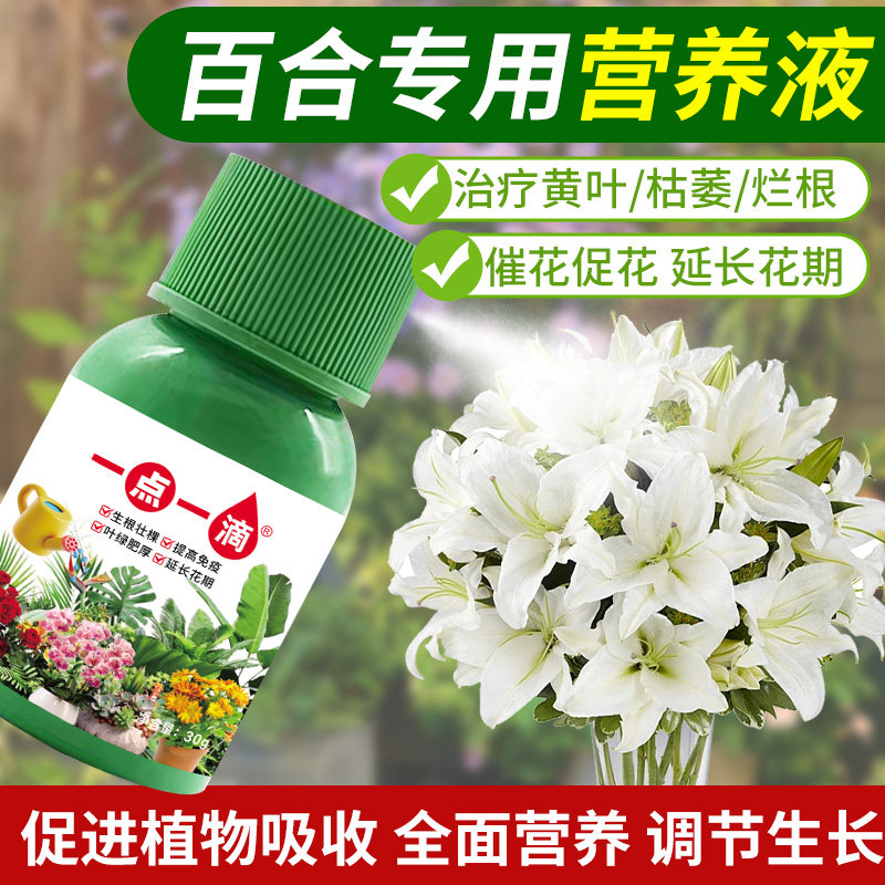 百合营养液种球花肥香水百合花专用肥料氮磷钾促开花的肥料