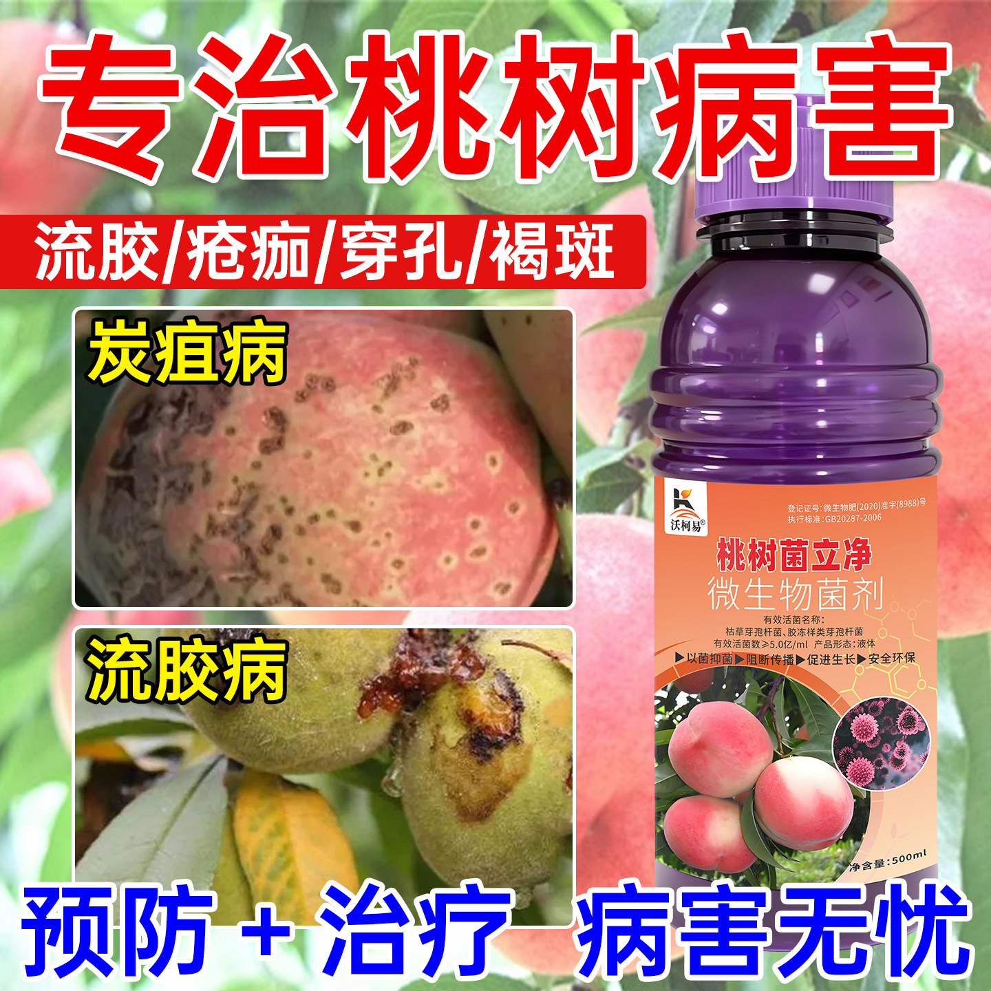 桃树病专用桃树流胶疮痂炭疽褐腐穿孔溃疡卷叶黑斑白粉生物杀菌剂