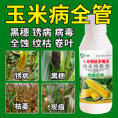 玉米病全治叶斑病黄叶枯萎烂根根腐烂杆锈病全清枯叶焦叶专用药