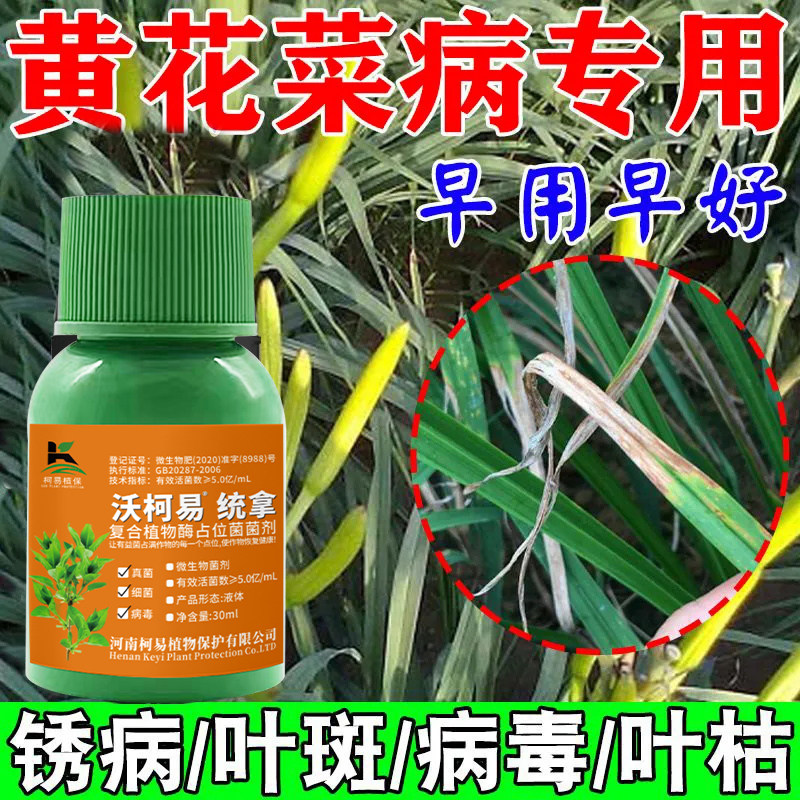 黄花菜专用药锈病药炭疽病根腐病叶斑病枯萎黄叶通用微生物菌剂