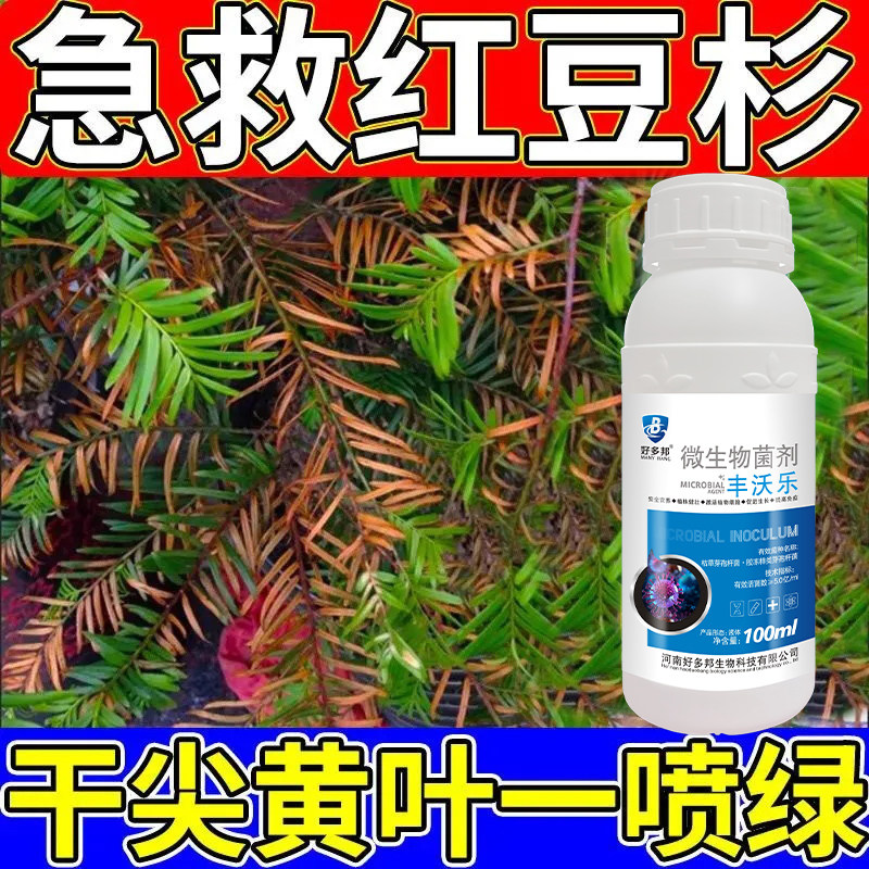 红豆杉病害专用黄叶枯萎落叶垂叶叶斑各种病菌杀菌抗病轻松养花