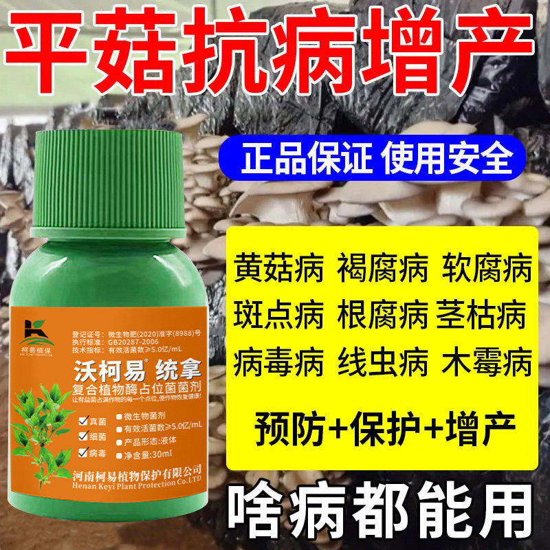 平菇斑点病褐腐病曲霉疫病黑腐专用杀菌平菇黄菇病药正品直销