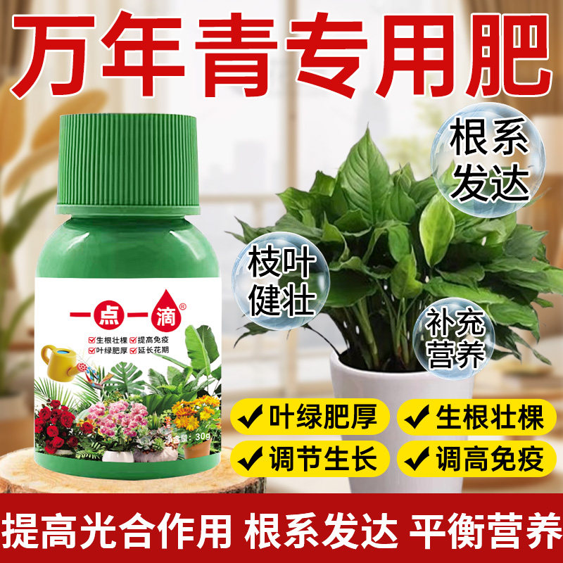 万年青营养液绿植专用液体肥料家庭室内园林农业园艺植物盆栽养花