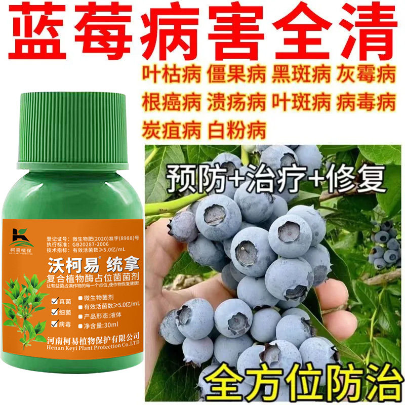 蓝莓枝枯病药蓝莓专用杀菌剂病全治灰霉病白粉病溃疡病炭疽病僵果