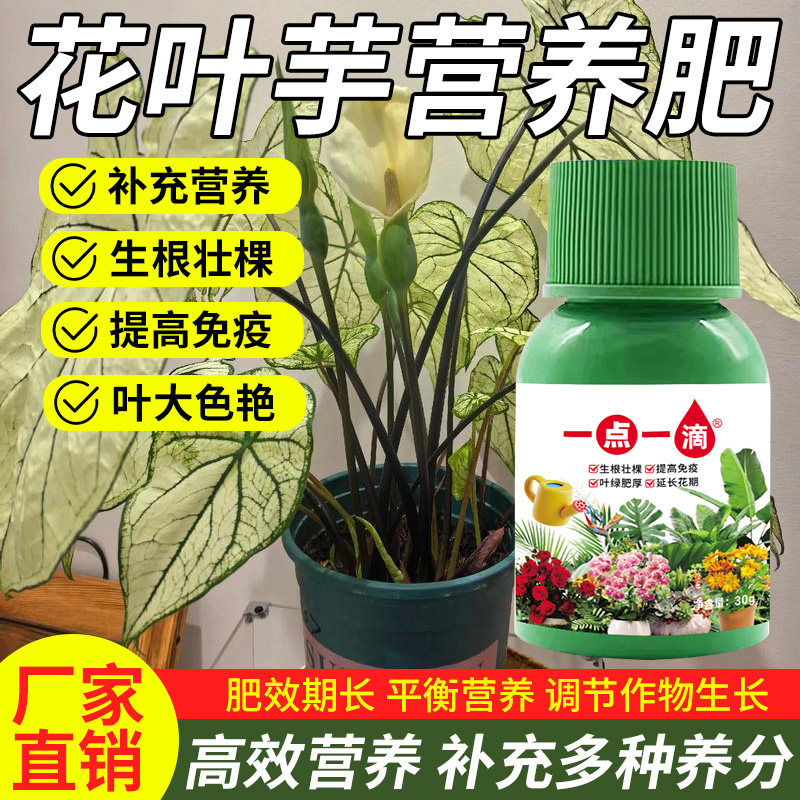 彩叶芋专用肥五彩芋肥料白色恋人营养肥家用花肥盆栽有机花叶芋