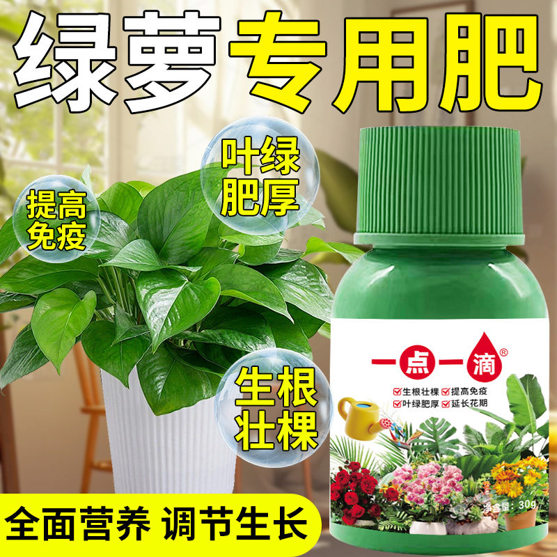 绿萝专用营养液专用肥大叶通用料花卉绿植用室内花肥液体肥
