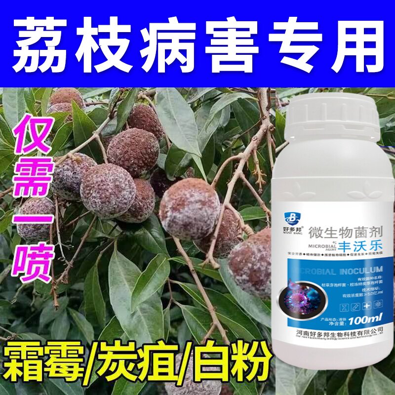 荔枝病全治荔枝杀菌剂专用杀菌药快杀菌烟煤病叶枯病炭疽病枯萎病