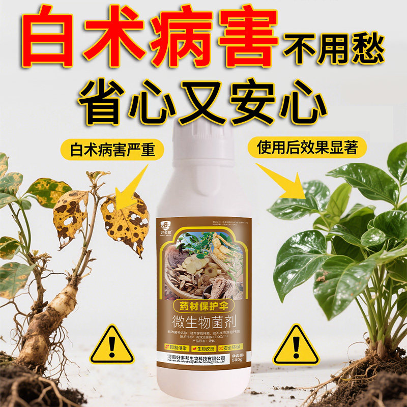 白术铁叶病白术苗白粉病叶斑病病害清病抑菌清菌剂立枯褐斑根腐病