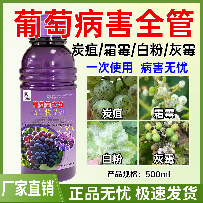 葡萄病专用杀菌剂葡萄房枯霜霉白腐病黑痘炭疽白粉褐斑溃疡烂果病