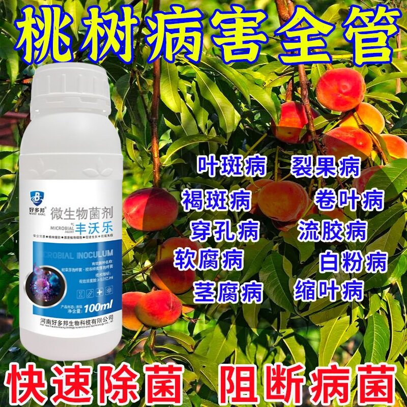 桃树病菌清全治穿孔病流胶病白粉腐烂炭疽桃树专用正品微生物菌剂