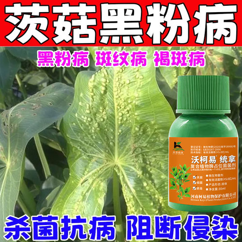 茨菇药茨菇病全治茨菇软腐病黄叶黑粉病软腐病褐斑卷叶专用杀菌剂