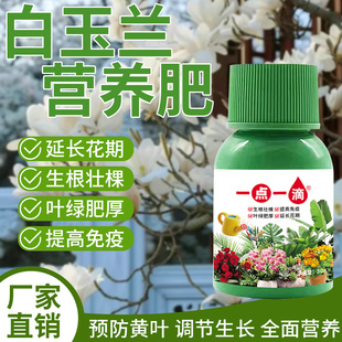白玉兰花肥料专用肥营养液黄角兰树养花家用盆栽治黄叶缓释肥花肥