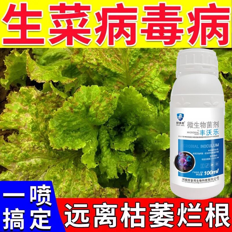 生菜专用药生菜病全治生菜软腐病叶焦病根腐病烂根黄叶专用杀菌剂
