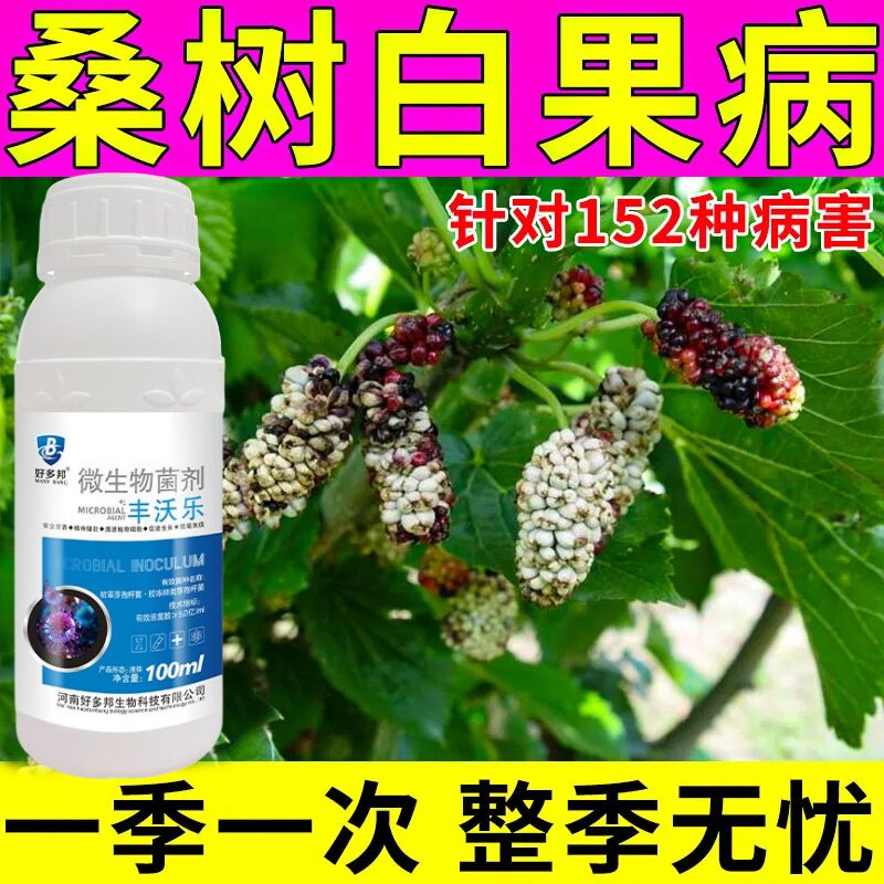 桑树病害专用桑葚病全治桑树烂头白果桑树花叶炭疽桑葚微生物菌剂