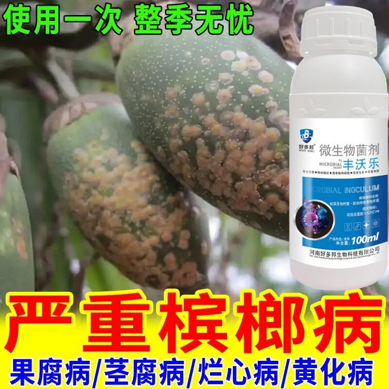 槟榔专用药槟榔病全治烂心病黄化病根腐病芽腐病条斑病专用杀菌剂