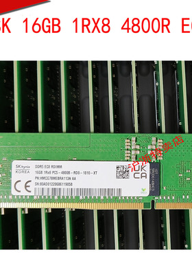 SKhynix现代16GB 1RX8 PC5-4800B HMCG78MEBRA113N服务器内存RECC