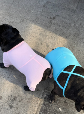 vava家纯手工量身定制宠物法斗柯基柴犬恶霸比熊 宠物锻炼瑜伽服