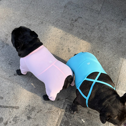 vava家纯手工量身定制宠物法斗柯基柴犬恶霸比熊 宠物锻炼瑜伽服