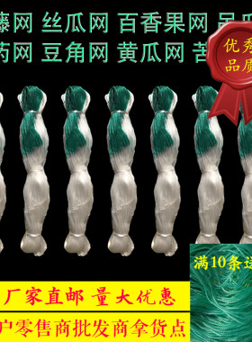 厂家直供爬藤网植物种植网豆角吊瓜丝瓜苦瓜黄瓜架百香果攀爬农用