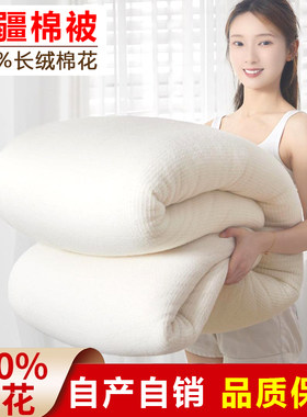 100%新疆一级长绒棉被芯春秋被子
