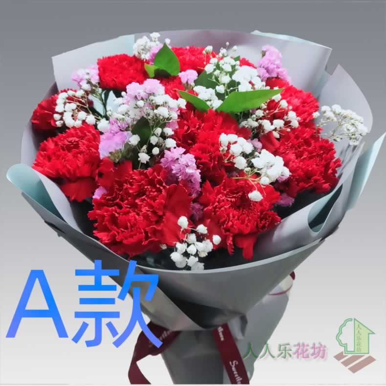 生日周年康乃馨河南平顶山花店送花郏县舞钢市汝州市同城鲜花速递