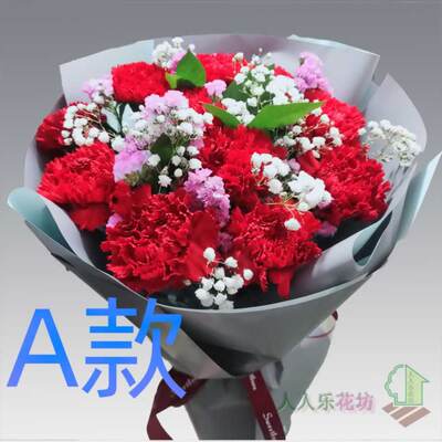 生日长辈贺寿康乃馨四川甘孜花店送花泸定巴塘县茂县同城鲜花快递