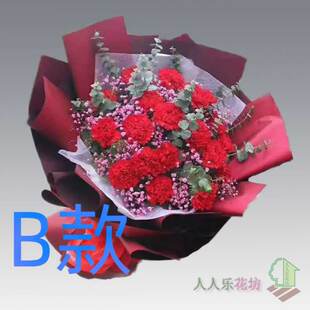 生日康乃馨黑龙江绥化订花店送花庆安县明水县绥棱县同城鲜花快递