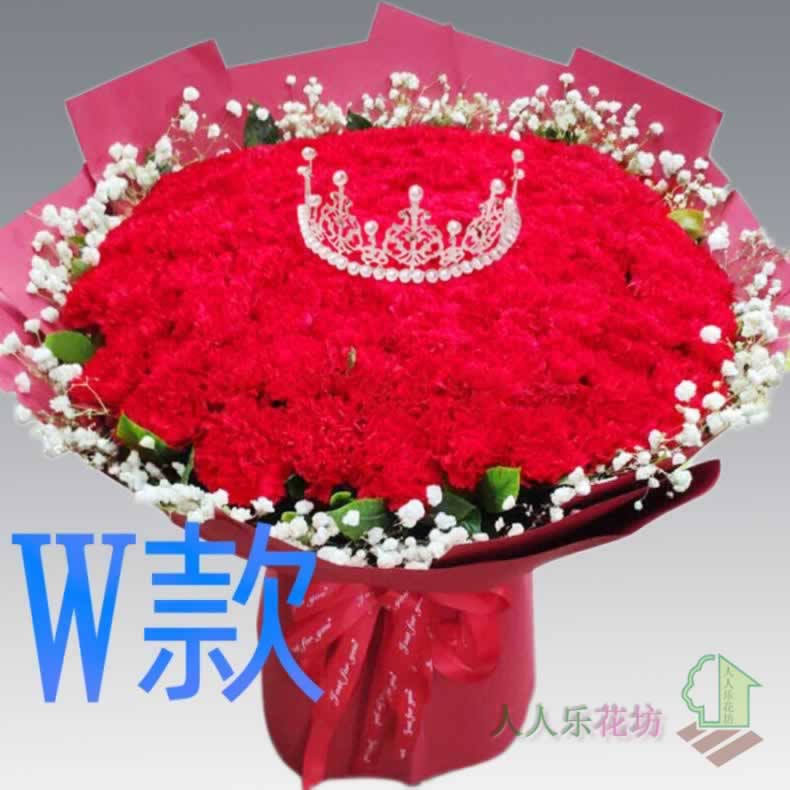 生日康乃馨宁夏吴忠花店送花红寺堡盐池同心县青铜峡同城鲜花速递