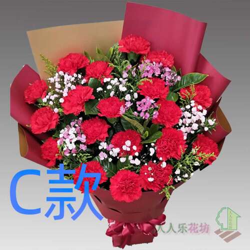 生日探望康乃馨山西长治订花店送花沁县沁源县潞城市同城鲜花速递