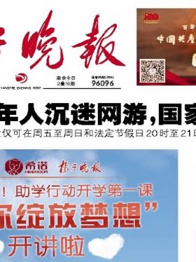 扬子晚报咨询费