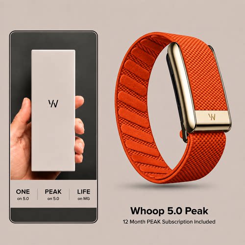 WHOOP官网亮色编织弹力运动表带