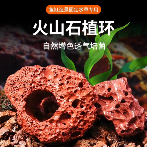火山石定植环水草固定种植红色打孔定植环鱼缸造景装饰底座钻孔
