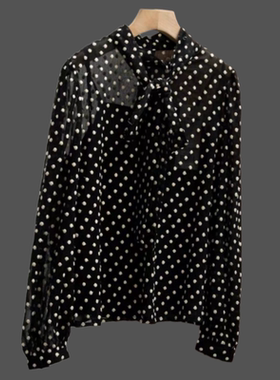 A554 诗同款法式刺绣波点衬衫设计感小众上衣3FC120771R