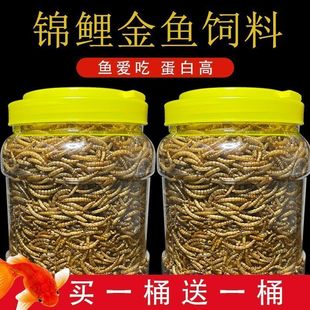 锦鲤通用饲料增色雷龙鱼食料观赏鱼增体猛长增肥高蛋白面包虫干