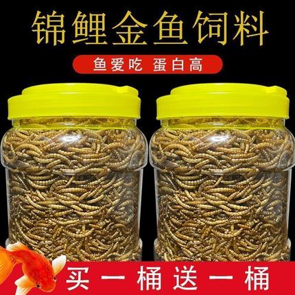 锦鲤通用饲料增色雷龙鱼食料观赏鱼增体猛长增肥高蛋白面包虫干