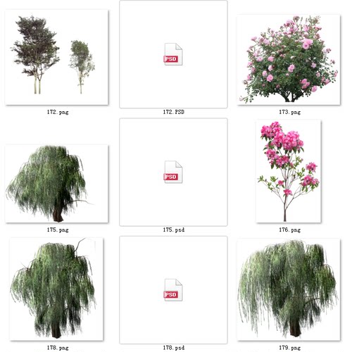01素材树木图片植物图片后期树木园林图片景观绿化树图片素材psd
