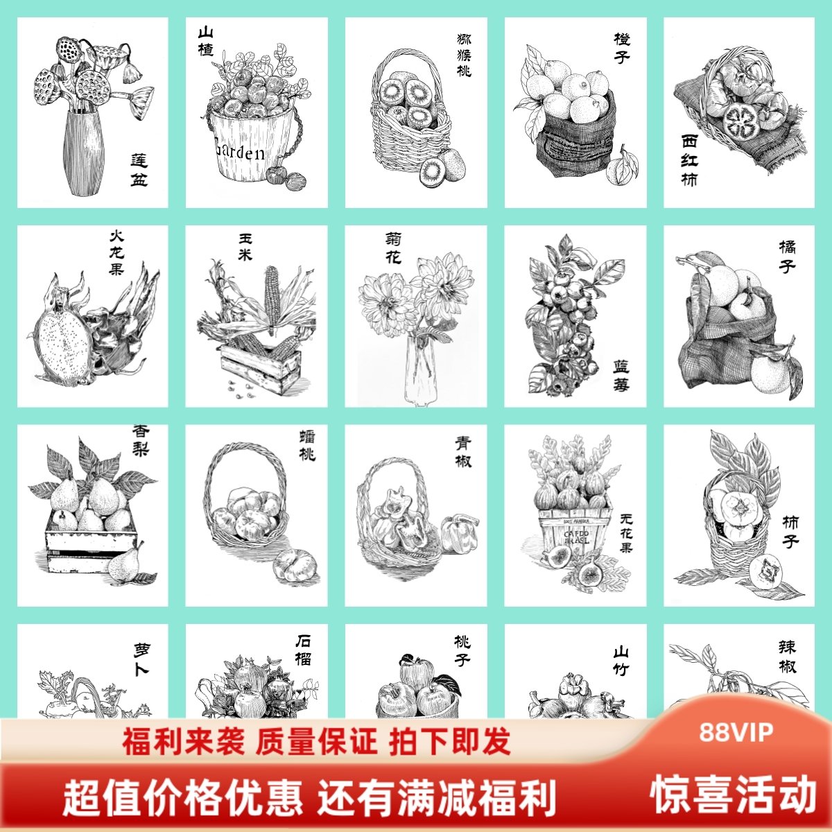 新思维静物线描线稿速写儿童绘画本美术用品对画a5创意素描临摹卡