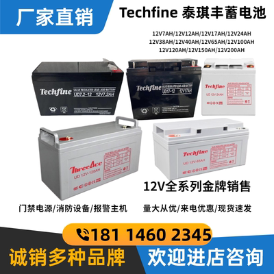 泰琪丰蓄电池UD12V-17AH7.2AH9A