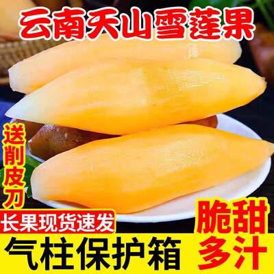 云南红心雪莲果当季新鲜包邮