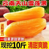 包邮 云南天山雪莲果新鲜水果当季 孕妇大果红泥 红心特级10斤装 应季