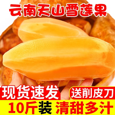 现挖云南天山雪莲果新鲜黄心特级雪连果水果应季整箱包邮